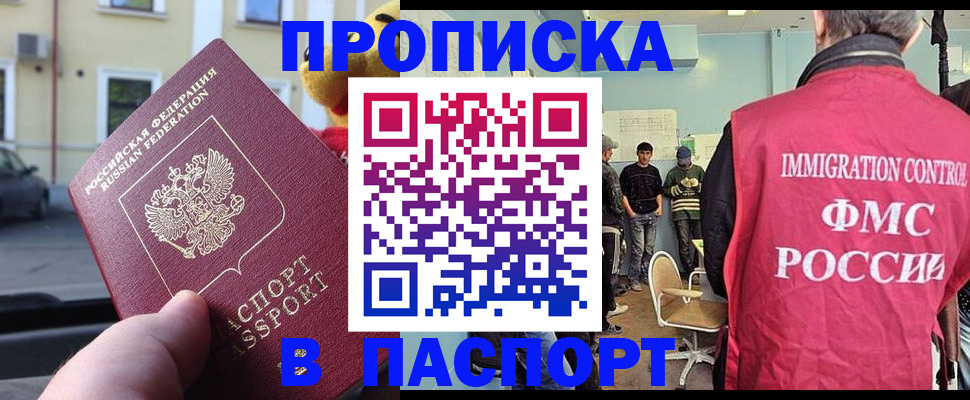 временная регистрация поиск в Новосибирской области